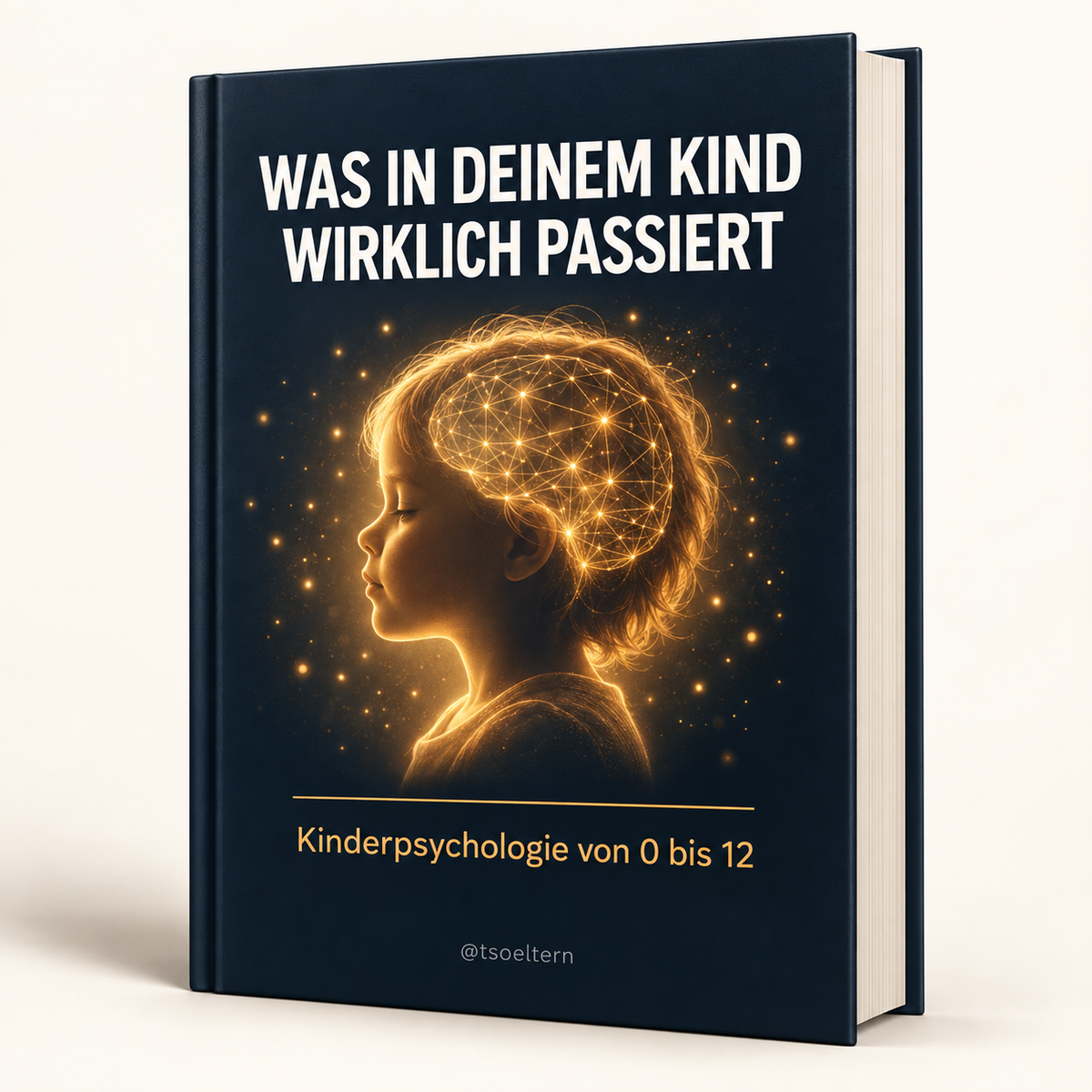 Was in deinem Kind wirklich passiert – Kinderpsychologie von 0 bis 12 endlich verstehen (inkl. Workbook)